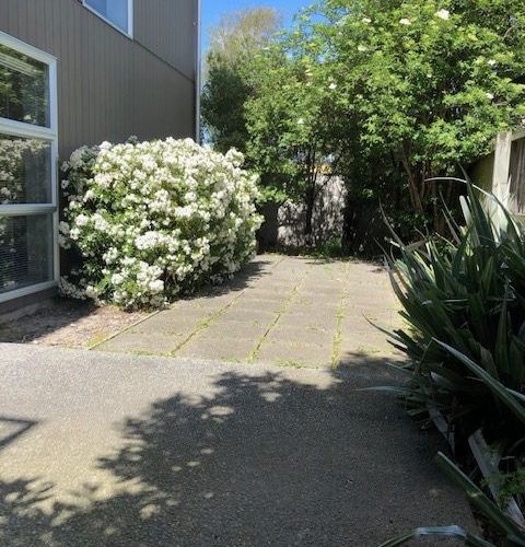  at 315 Hereford Street, City Centre, Christchurch City, Canterbury