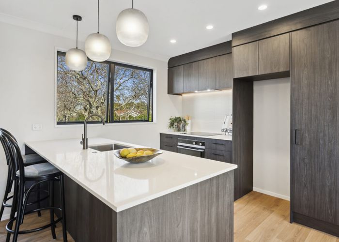  at 6 Nolan Road, Greenlane, Auckland City, Auckland