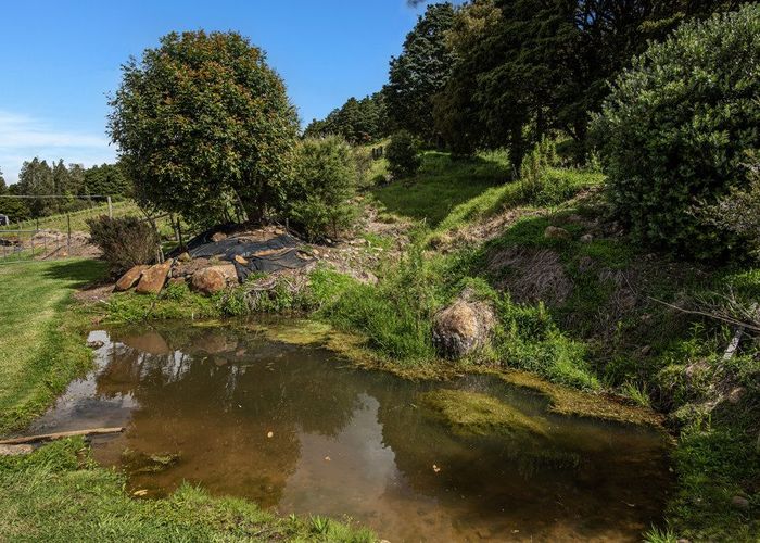  at 16 Nova Way, Kauri, Whangarei, Northland