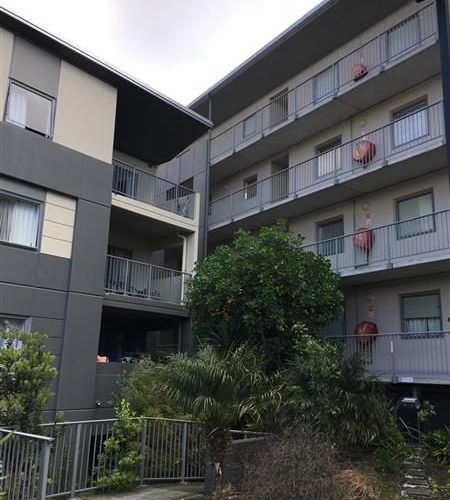  at GF/19 Morning Star Place, Mount Albert, Auckland