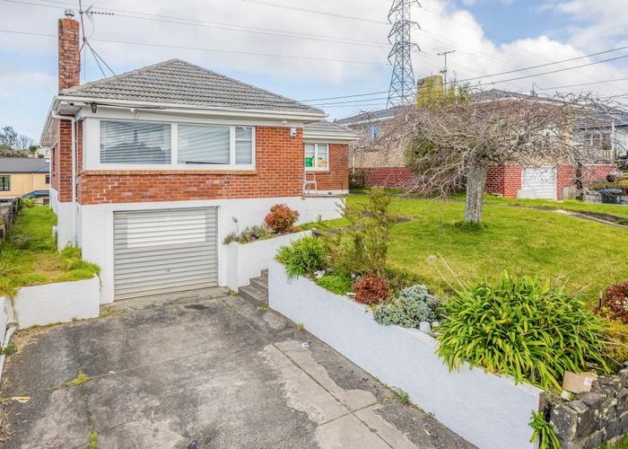  at 3 Locke Avenue, Mount Roskill, Auckland