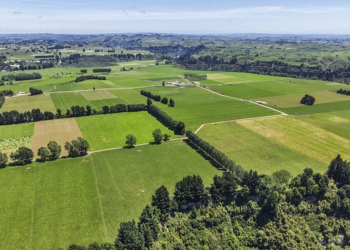  at Generational Opportunities, City Centre, Palmerston North, Manawatu / Whanganui