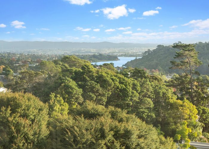  at 7 Treetops Way, Bayview, Auckland