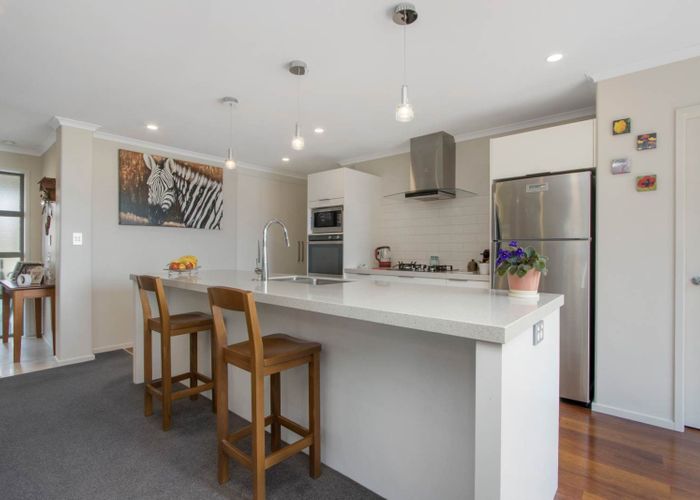  at 17 Ballantyne Way, Katikati, Western Bay Of Plenty, Bay Of Plenty