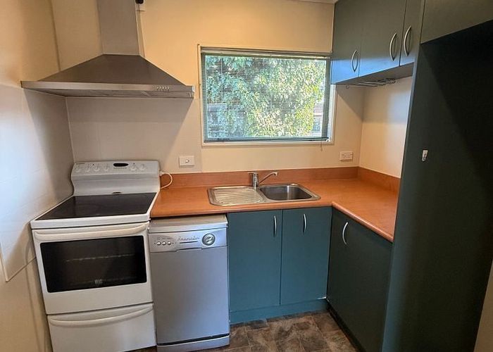  at 14A Oxford Street, Fairfield, Hamilton, Waikato