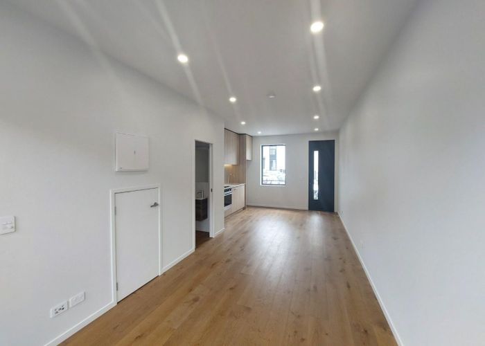  at 19 Hadlow Terrace, Grey Lynn, Auckland City, Auckland