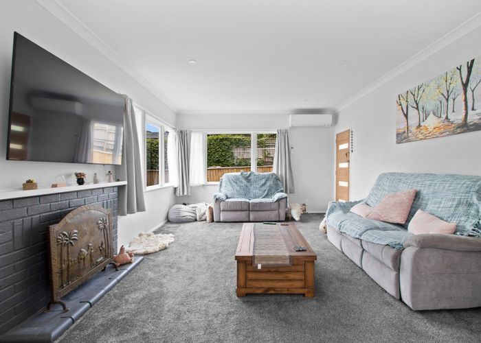  at 20 Alison Street, Hamilton Lake, Hamilton