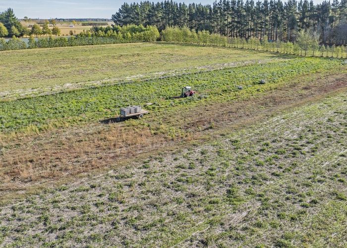  at 615 Pesters Road, West Eyreton, Waimakariri, Canterbury