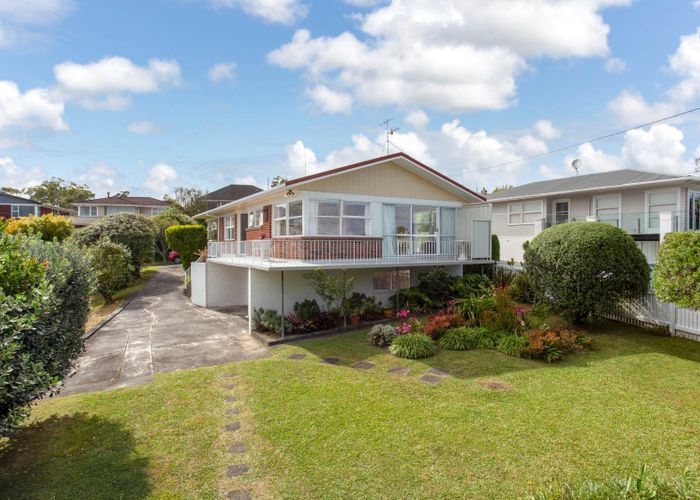  at 45 Peter Buck Road, New Windsor, Auckland City, Auckland