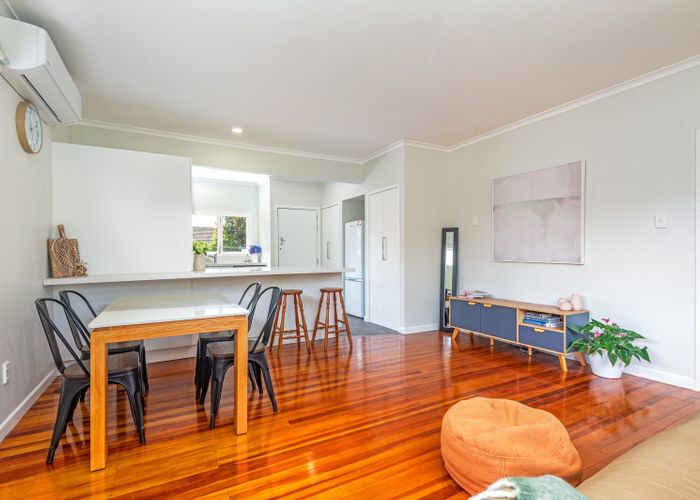  at 17 Manawatu Street, Hokowhitu, Palmerston North, Manawatu / Whanganui