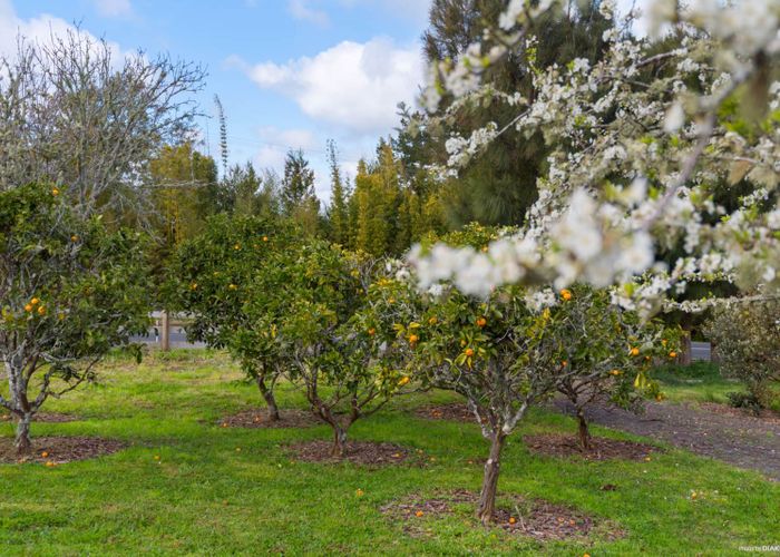  at 391 Taylor Road, Waimauku, Auckland