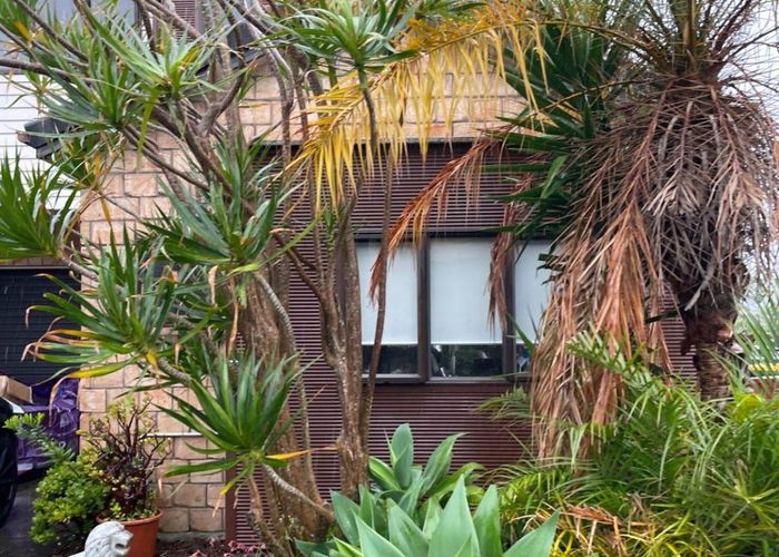  at 7 Derg Place, East Tamaki, Manukau City, Auckland
