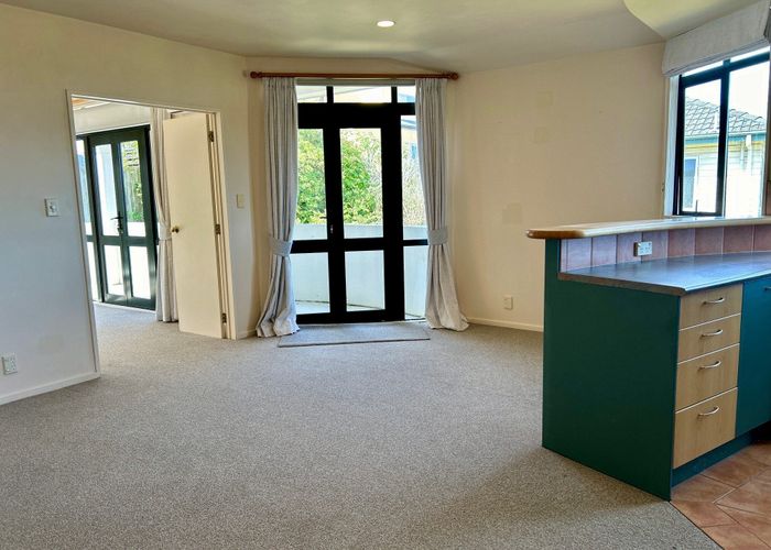  at 17 Noel Williams Place, Windsor Park, Auckland