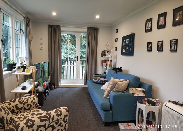  at 12A Patmos Avenue, Woodhaugh, Dunedin