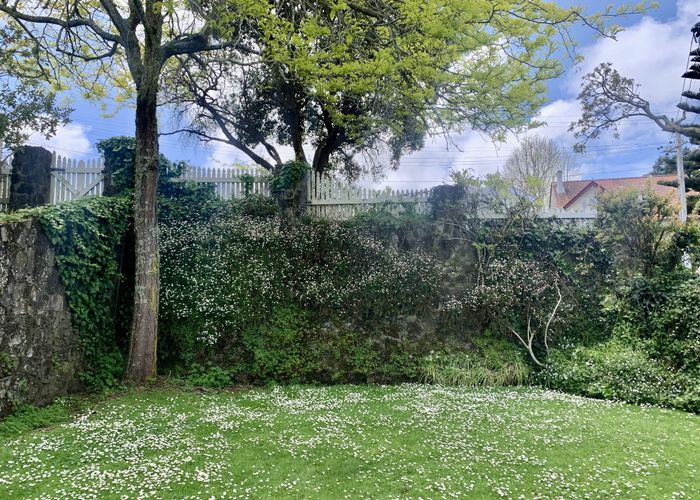  at 15 Disraeli Street, Mount Eden, Auckland