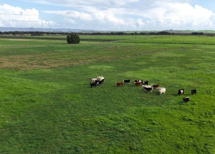  at 862 Gill Road, Kaitaia, Far North, Northland