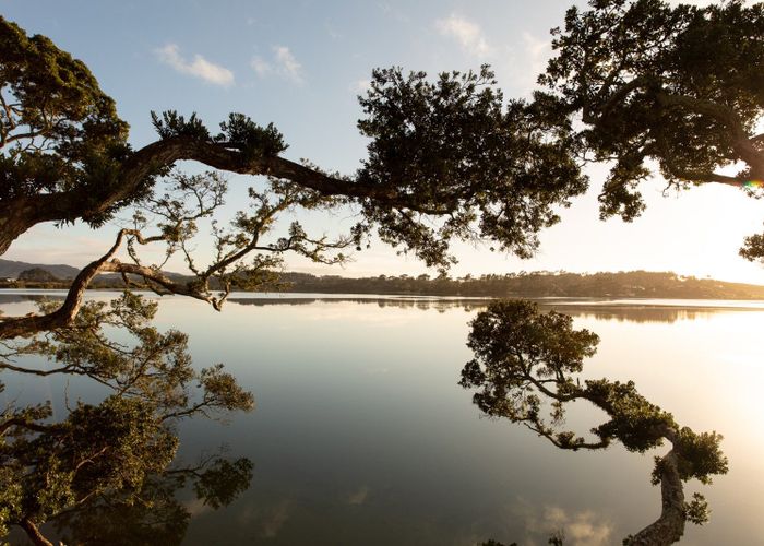  at 13 William Gilbert Drive, Mangawhai, Kaipara, Northland