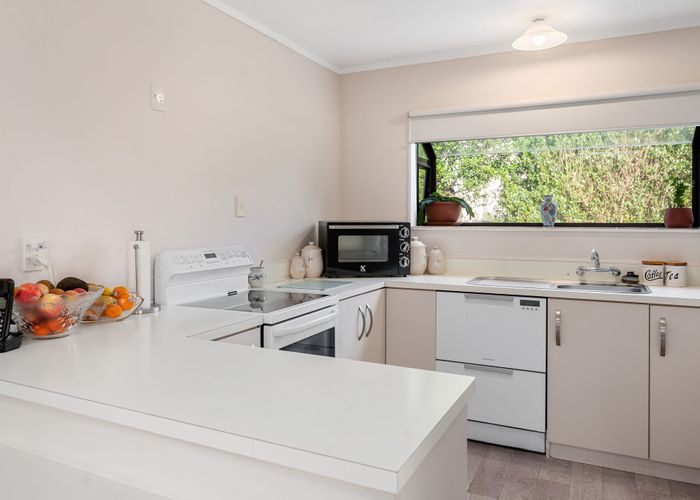  at 16B Springfield Road, Springfield, Rotorua