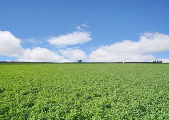 at 784 Wrights Road, Oxford, Waimakariri, Canterbury