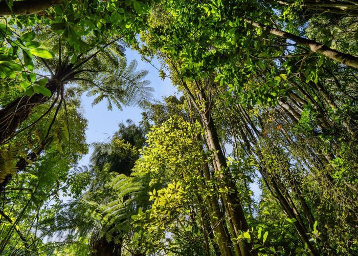  at Lot 3 6A Waiata Road, Te Puna, Western Bay Of Plenty, Bay Of Plenty