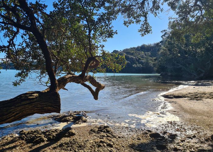  at 515 Wyuna Bay Road, Coromandel, Thames-Coromandel, Waikato