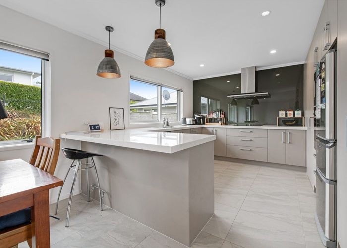  at 202 Harris Drive, Millwater, Rodney, Auckland