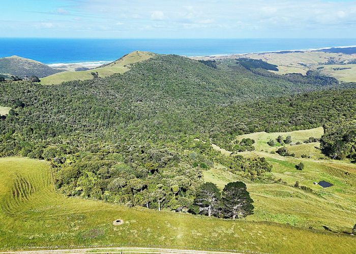  at Cnr Hood Rd and SH12, Dargaville, Kaipara, Northland