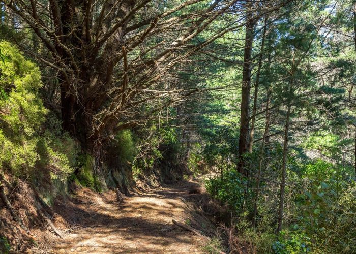  at 939 Kaiwhata Road, Carterton, Carterton, Wellington