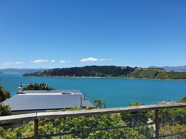  at 113 Grafton Road, Roseneath, Wellington