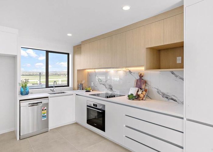  at 66 Elm Street, Avondale, Auckland City, Auckland