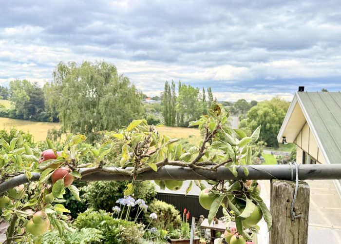  at 42 Jessop Street, Oamaru, Waitaki, Otago