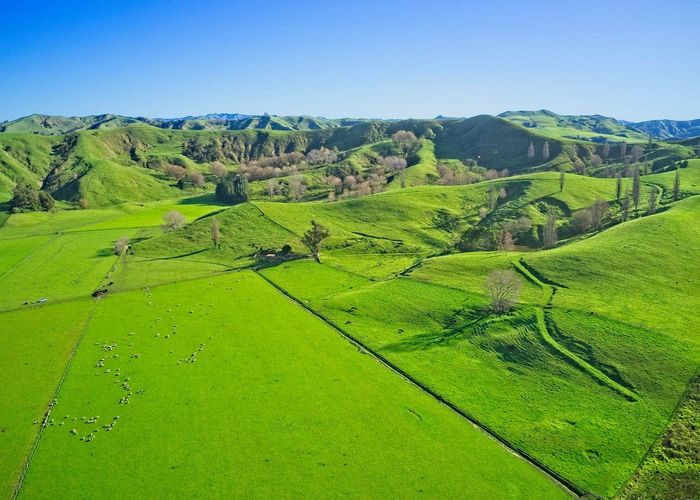 For sale 'Waituhi', Lavenham Road, Patutahi, Gisborne, Gisborne