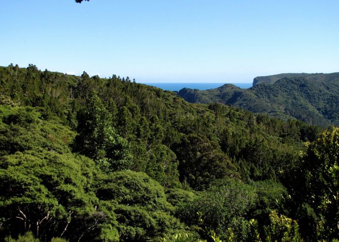 For sale 22 Waikarekare Lane, Karekare, Waitakere City, Auckland