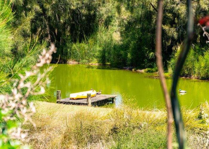  at 47 Gumdiggers Lane, Mangawhai Heads, Kaipara, Northland