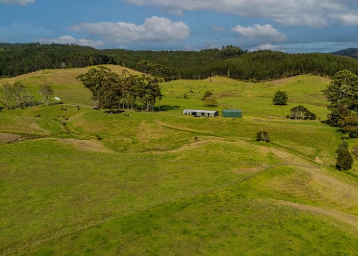  at 650 Sh25 Te Rerenga-Kuaotunu Road, Matarangi, Thames-Coromandel, Waikato