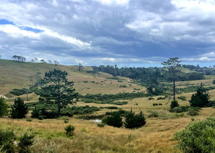  at 579 Duck Creek Road, Stillwater, Rodney, Auckland