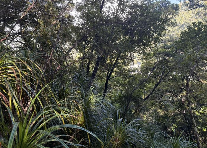  at 0 Fitzgerald Street, Haast, Westland, West Coast