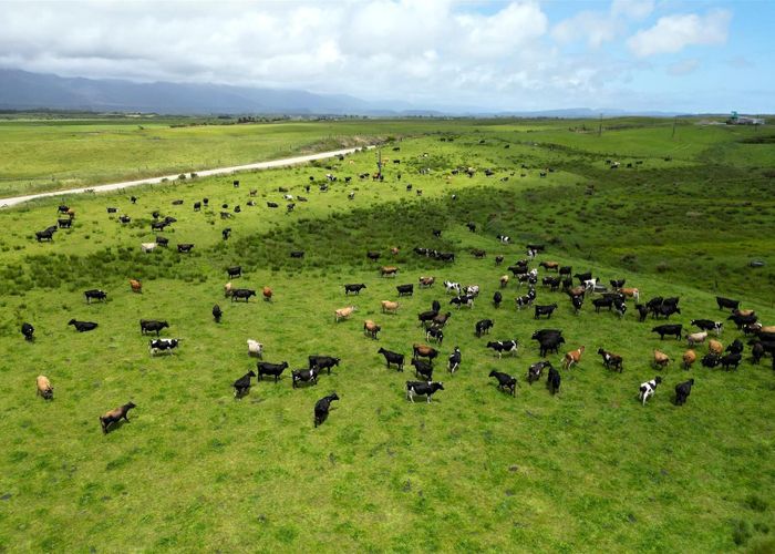  at 118 Bulls Road, Westport, Buller, West Coast