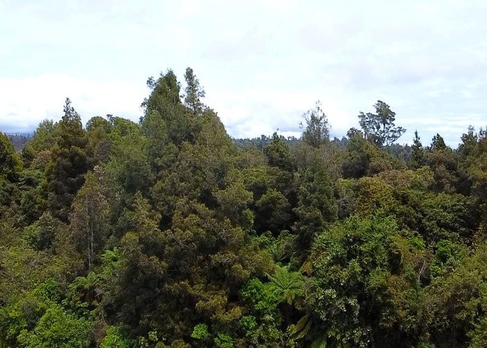  at 0 Wangapeka Rd, Little Wanganui, Karamea