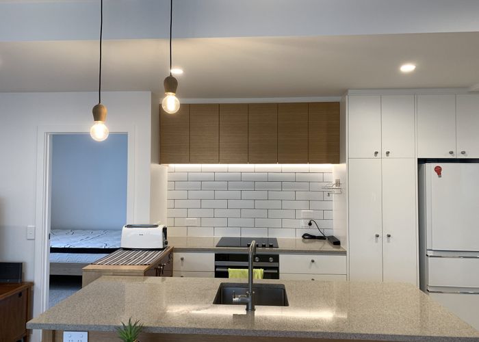  at 204/30 Enfield Street, Mount Eden, Auckland City, Auckland