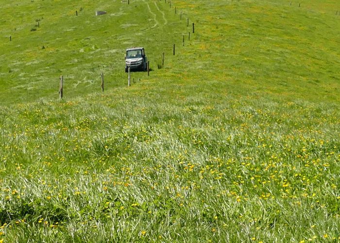  at 361 Martin Road, Waerenga