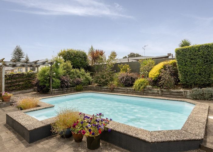  at 17 Glenfield Place, Brookfield, Tauranga