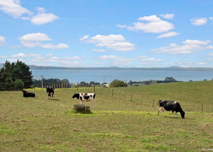 Free property data for 134 Grahams Beach Road, Manukau Heads, Āwhitu