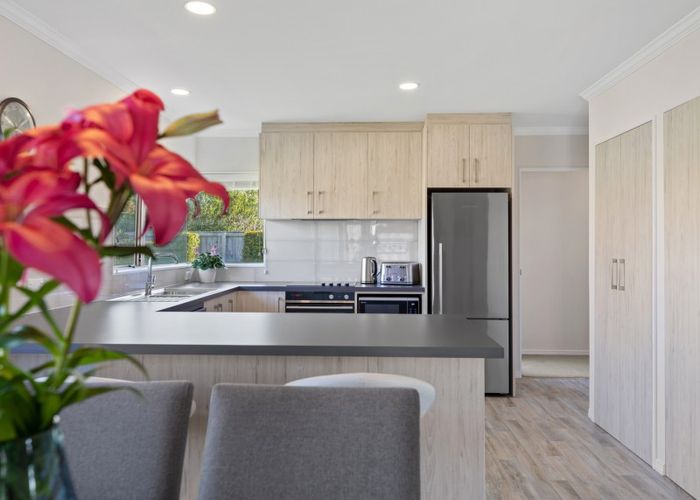  at 17 Lotus Avenue, Mount Maunganui, Mount Maunganui