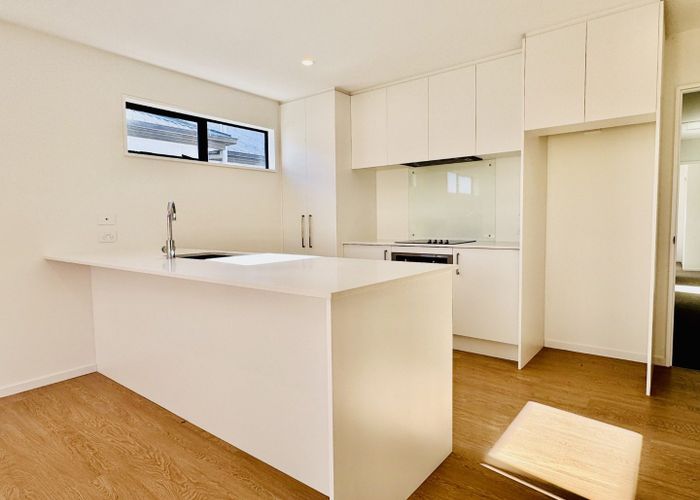  at 45 Chrysolite Place, Belfast, Christchurch City, Canterbury