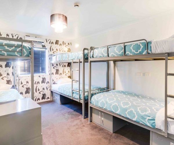  at 101/335 Trafalgar Square, City Centre, Nelson, Nelson / Tasman
