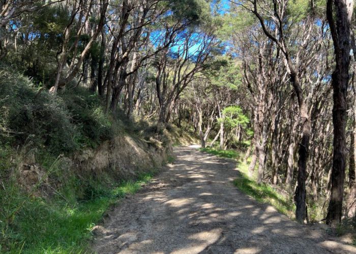  at 4080 Pahiatua Pongaroa Road, Pongaroa, Tararua, Manawatu / Whanganui