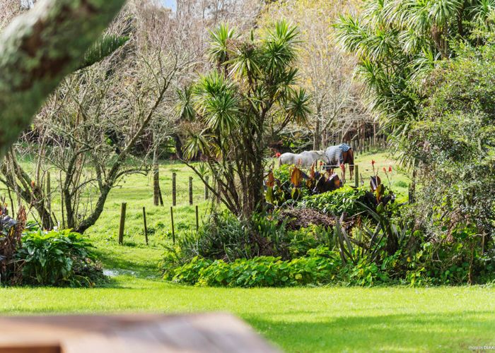  at 24 Grassmere Road, Henderson Valley, Auckland
