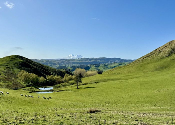  at 515 Ruanui Road, Taihape, Rangitikei, Manawatu / Whanganui