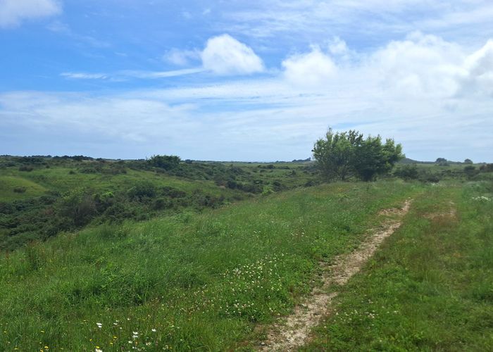  at 980 Wilsons Lead Road, Cape Foulwind, Buller, West Coast